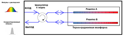 DCM- internal.TIF